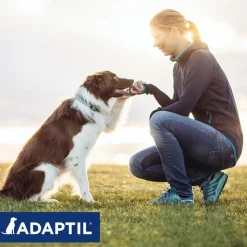 ADAPTIL® Calm kaulapanta koirille