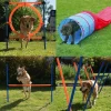 Agility Fun & Sport -agilityrata