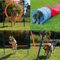 Agility Fun & Sport -agilityrata