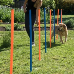 Agility Fun & Sport -agilityrata