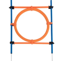 Agility Fun & Sport -agilityrata