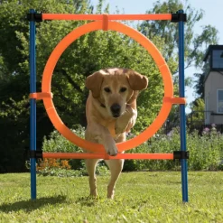 Agility Fun & Sport -agilityrata