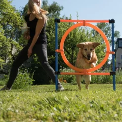 Agility Fun & Sport -agilityrata