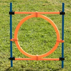 Agility Fun & Sport -agilityrata