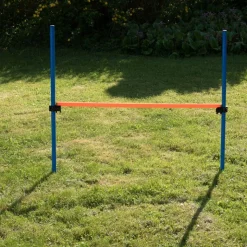 Agility Fun & Sport -agilityrata