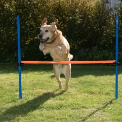 Agility Fun & Sport -aitaeste