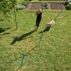 Agility Fun & Sport -pujottelueste