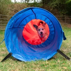Agility Fun & Sport -pussieste