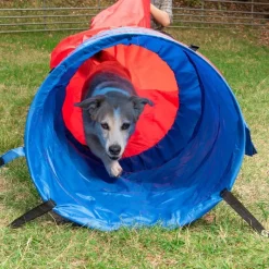 Agility Fun & Sport -pussieste