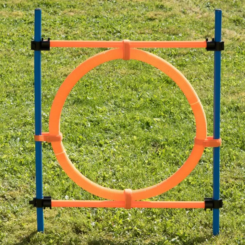 Agility Fun & Sport -rengaseste