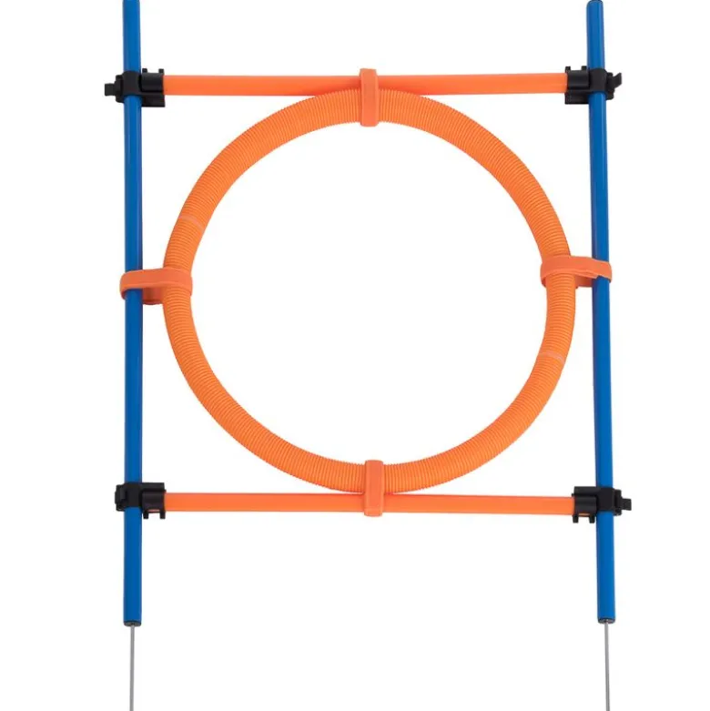 Agility Fun & Sport -rengaseste