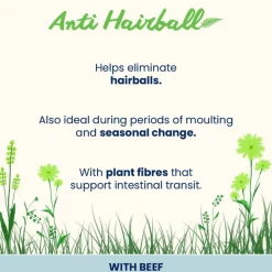 Almo Nature Holistic Anti Hairball 70g