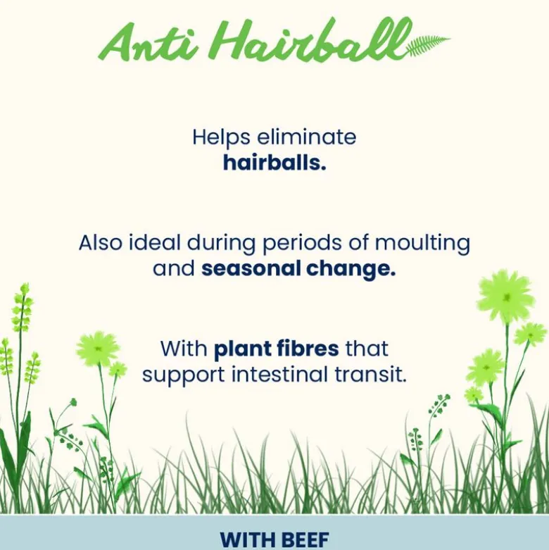 Almo Nature Holistic Anti Hairball 70g