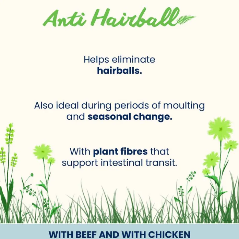 Almo Nature Holistic Anti Hairball 70g