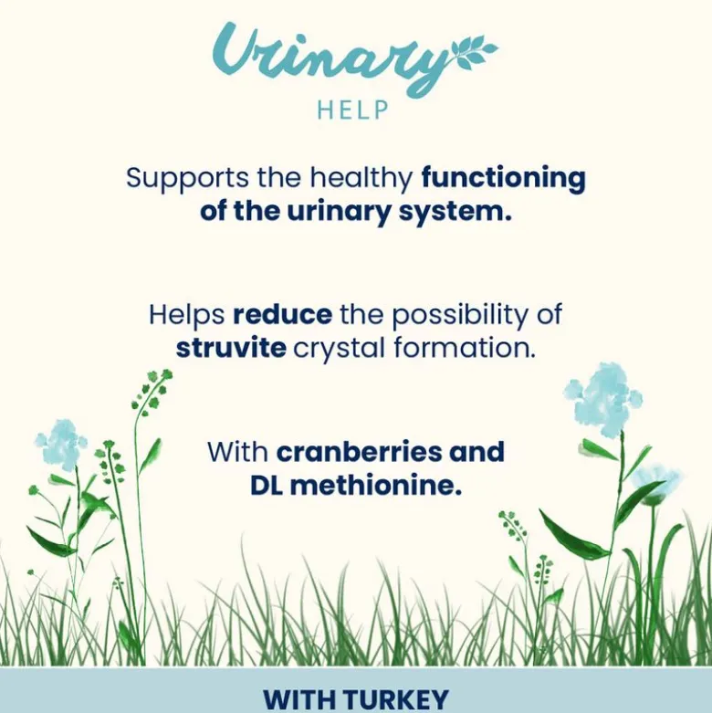 Almo Nature Holistic Urinary Help 70 g