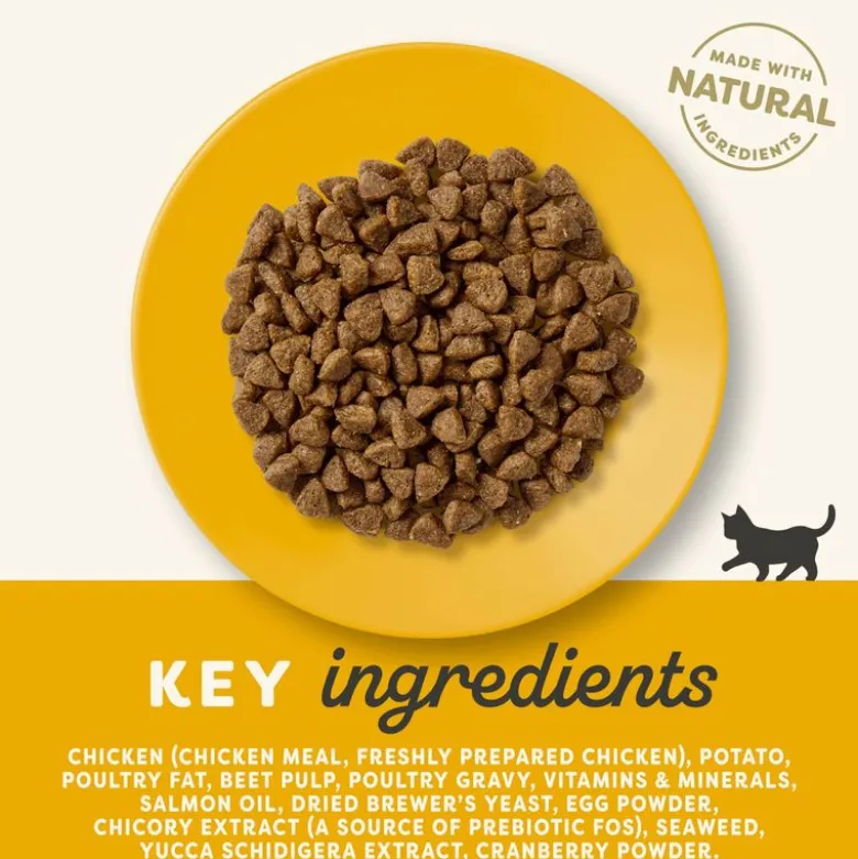 Applaws Kitten