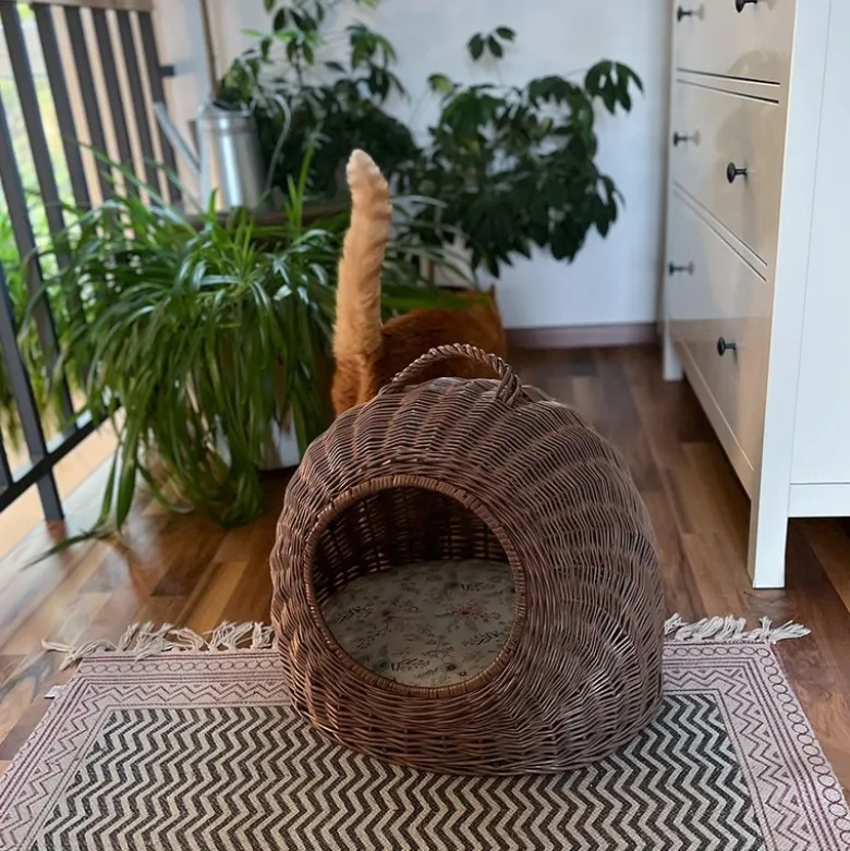Aumüller-koriluola, vintage-harmaa