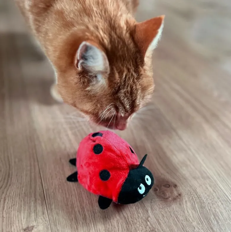Aumüller leppäkerttu Dotty kissan lelu