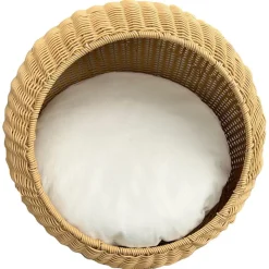 Aumüller ovaali kori
