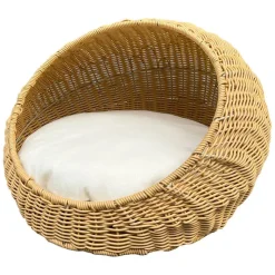 Aumüller ovaali kori