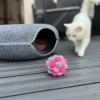 Aumüller Pink Plush -kissanlelu