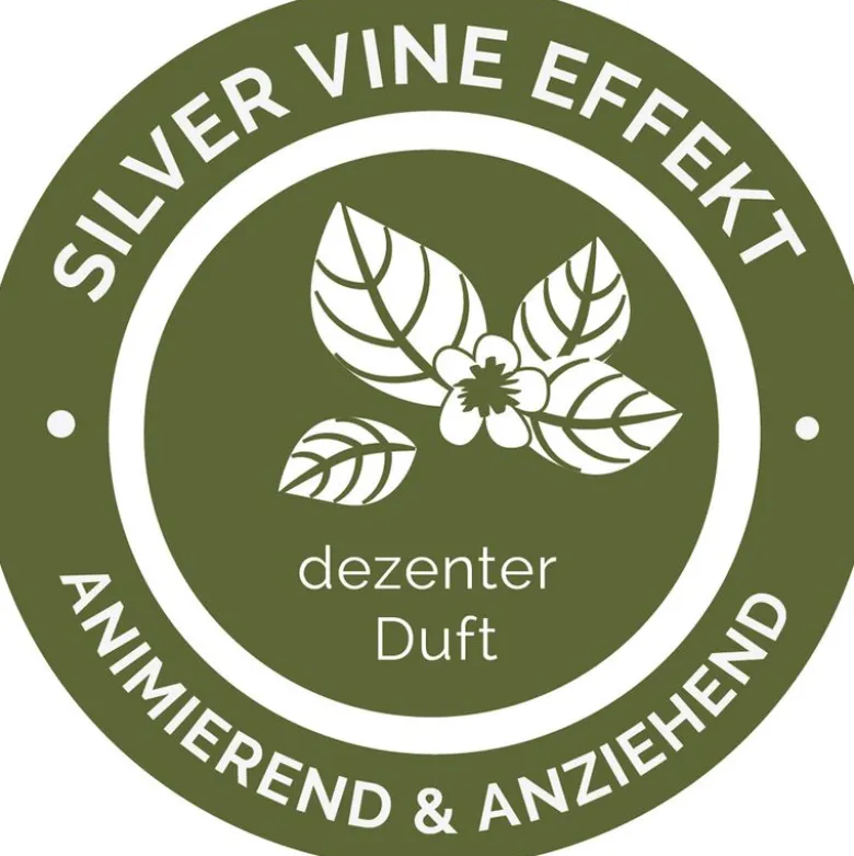 Aumüller Silver Vine Lolli - hammashoitolelu