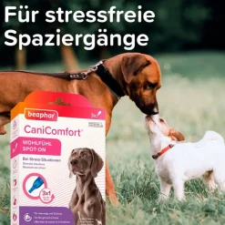 beaphar CaniComfort Wohlfühl Spot-On
