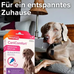 beaphar CaniComfort Wohlfühl Spot-On