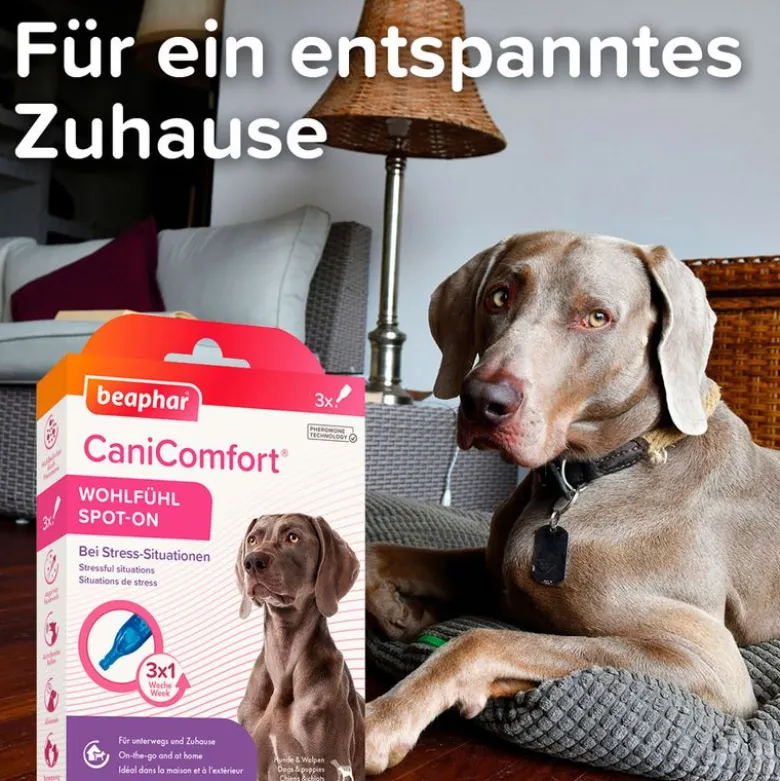 beaphar CaniComfort Wohlfühl Spot-On