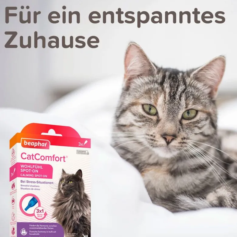 beaphar CatComfort Wohlfühl Spot-On