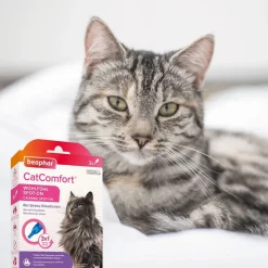 beaphar CatComfort Wohlfühl Spot-On