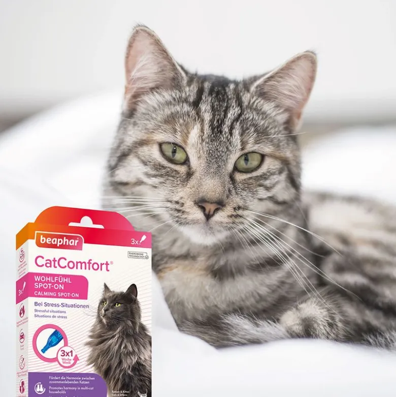 beaphar CatComfort Wohlfühl Spot-On