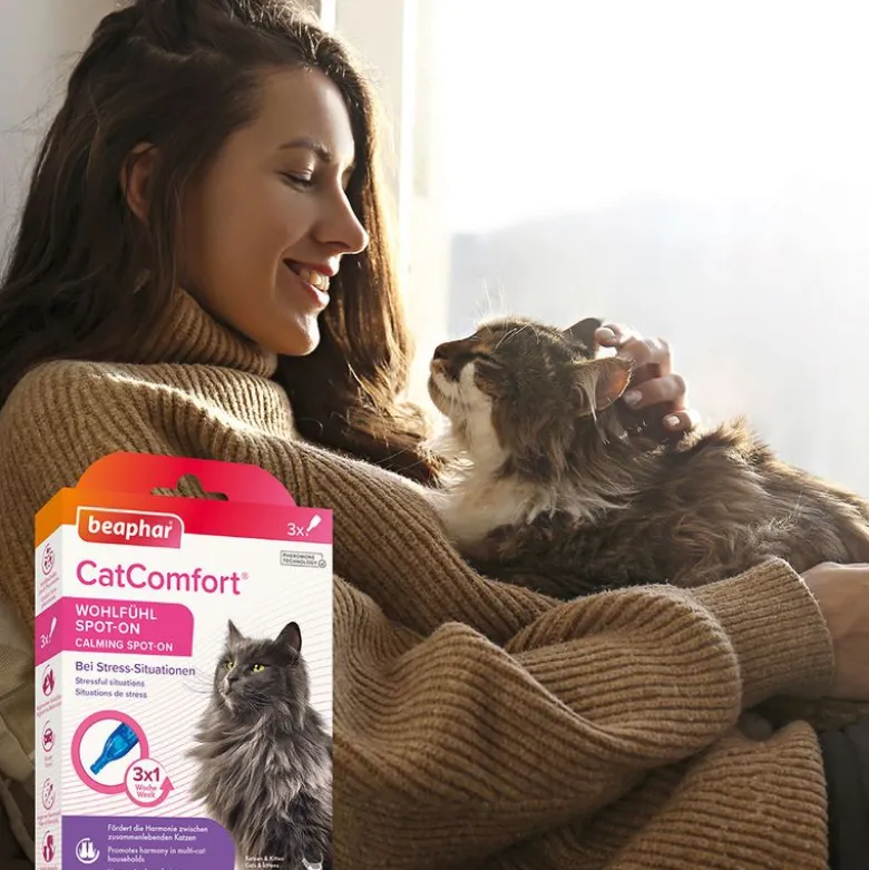beaphar CatComfort Wohlfühl Spot-On