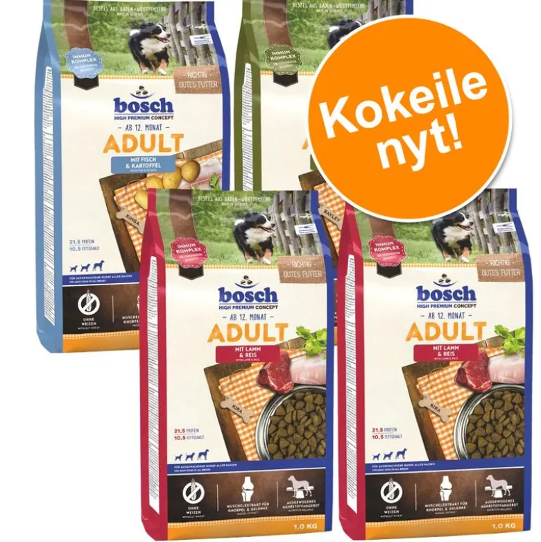 bosch Adult -kokeilupakkaus 4 x 1 kg