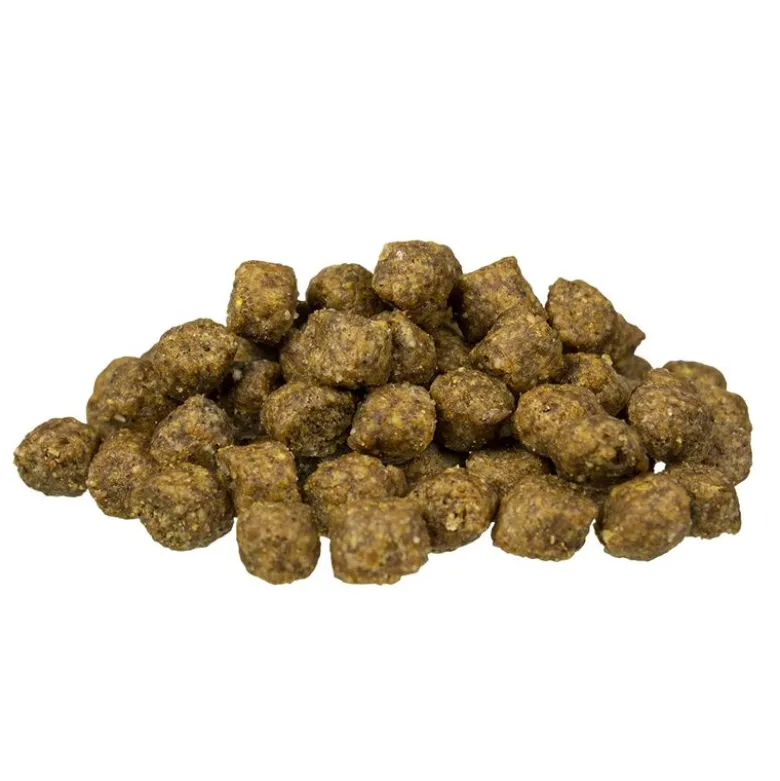 bosch Mini Adult Lamb & Rice
