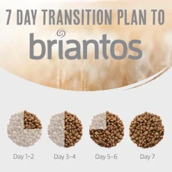 Briantos Adult Active