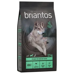 Briantos Adult lammas & peruna - viljaton