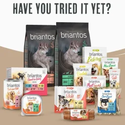 Briantos Adult Light Sterilised kalkkuna & peruna - viljaton