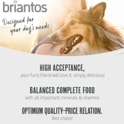 Briantos Adult Light Sterilised kalkkuna & peruna - viljaton