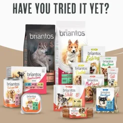 Briantos Adult Maxi