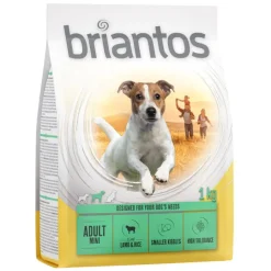 Briantos Adult Mini lammas & riisi