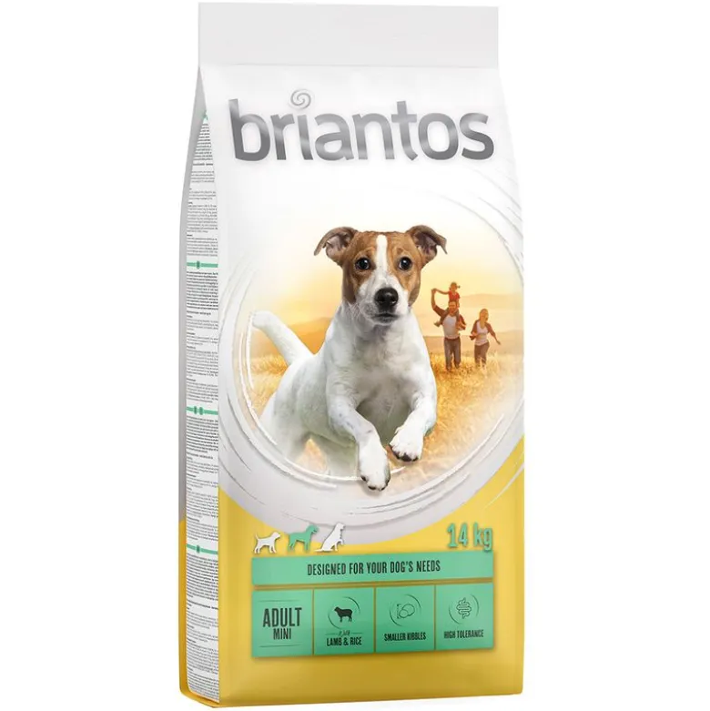 Briantos Adult Mini lammas & riisi
