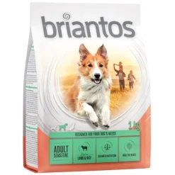 Briantos Adult Sensitive lammas & riisi