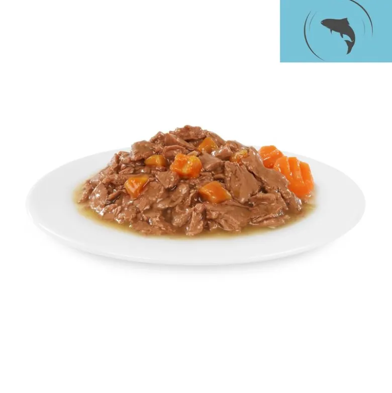 Briantos Chunks in Gravy -säästöpakkaus 48 x 100 g