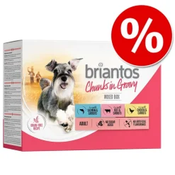 Briantos Chunks in Gravy -säästöpakkaus 48 x 100 g