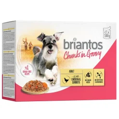 Briantos Chunks in Gravy -säästöpakkaus 48 x 100 g