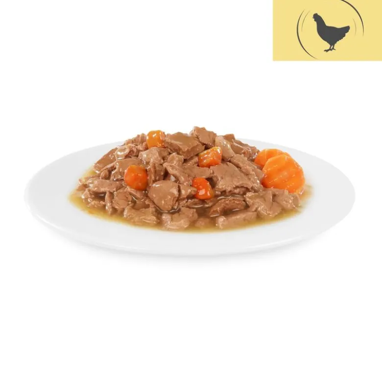 Briantos Chunks in Gravy -säästöpakkaus 48 x 100 g