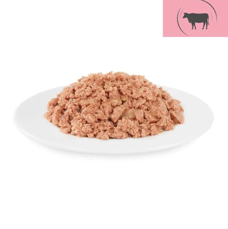 Briantos Delicious Paté -säästöpakkaus 48 x 100 g