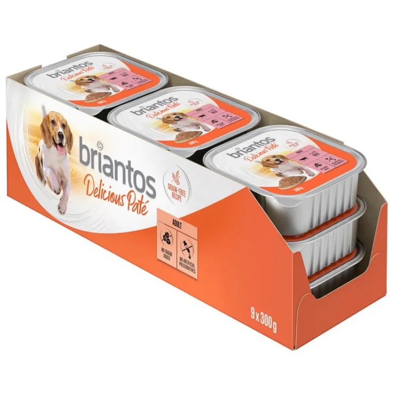 Briantos Delicious Paté 27 x 300 g
