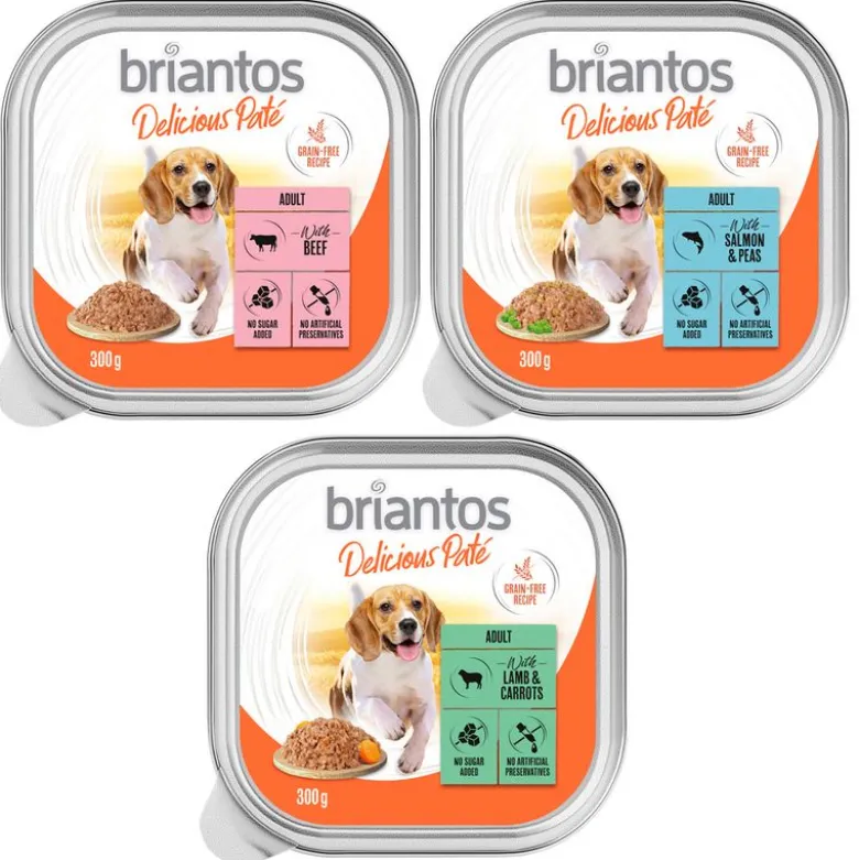 Briantos Delicious Paté 27 x 300 g